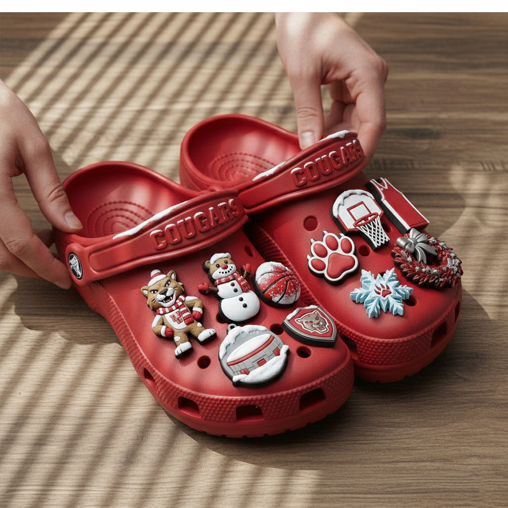 HTCG Premium Christmas Clogs NTD