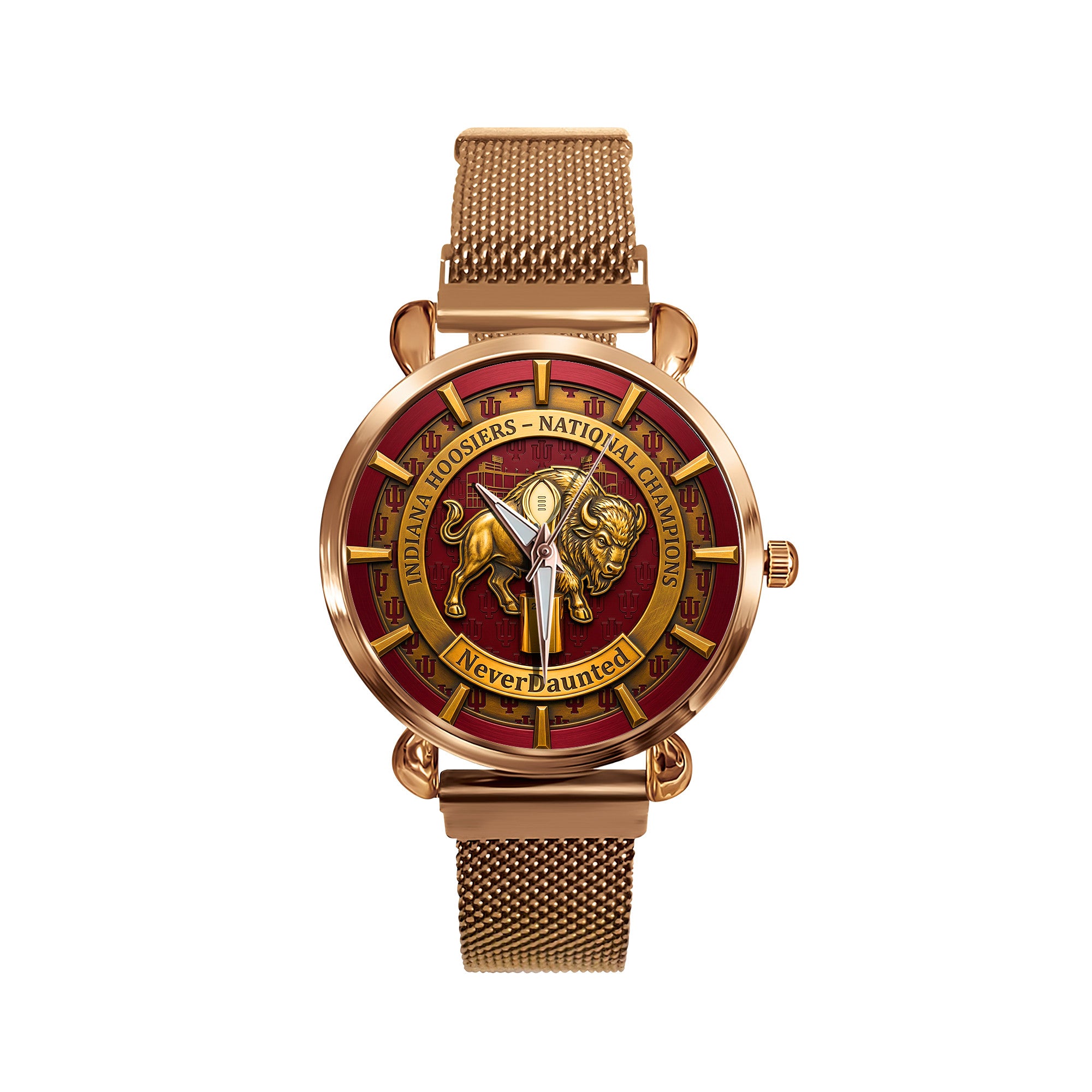 IDH Stainless Steel Watch LNTH
